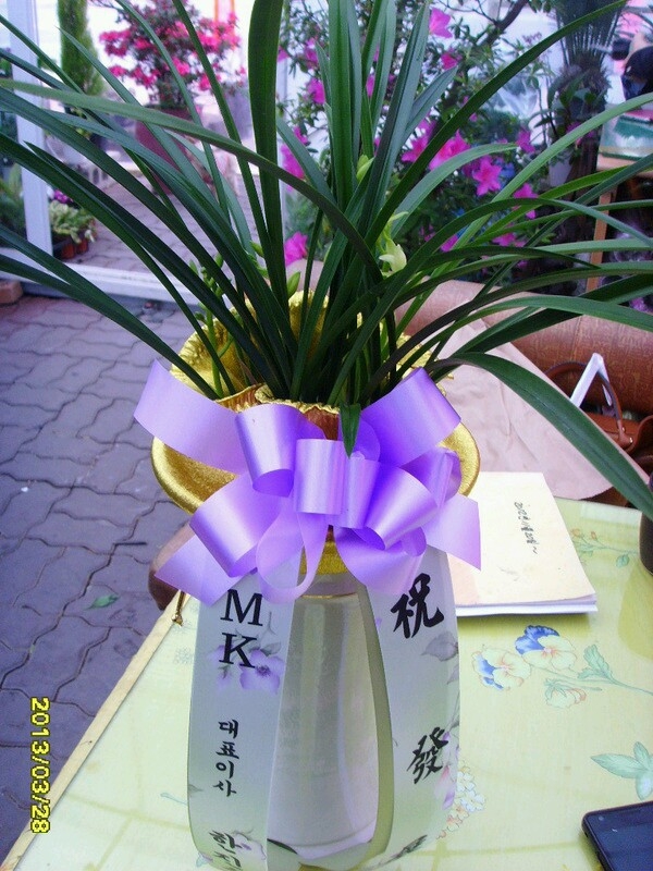 MKǥ̻