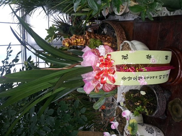 泲û