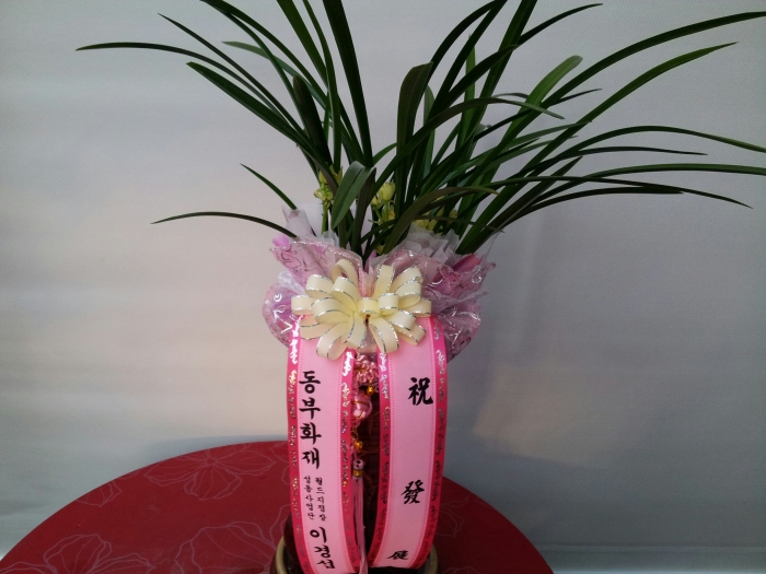 ȭ̰漷