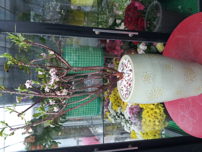 ũ