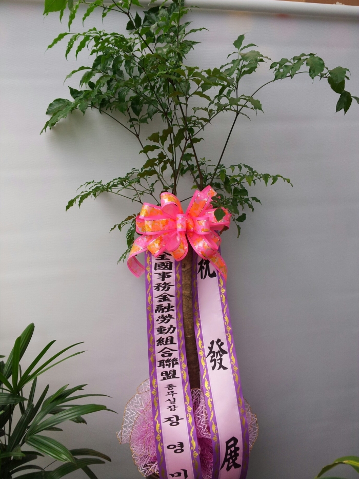 4-17念̴