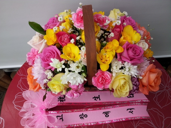4-21 ڳ
