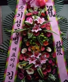 04-23