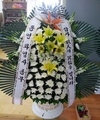 04-23