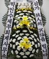 04-23