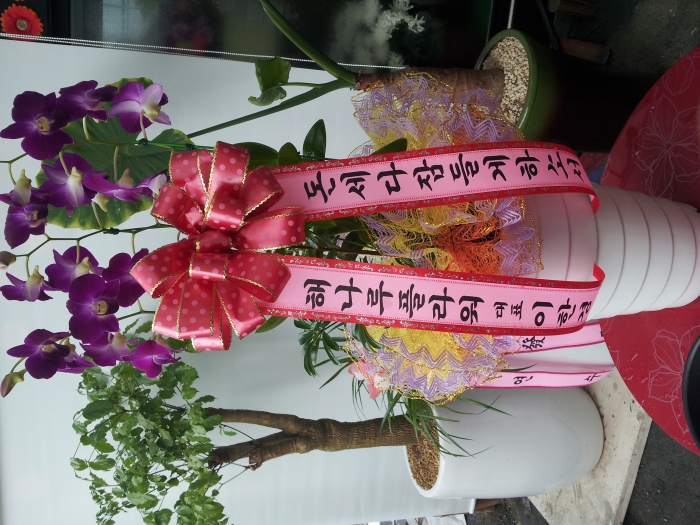04-26