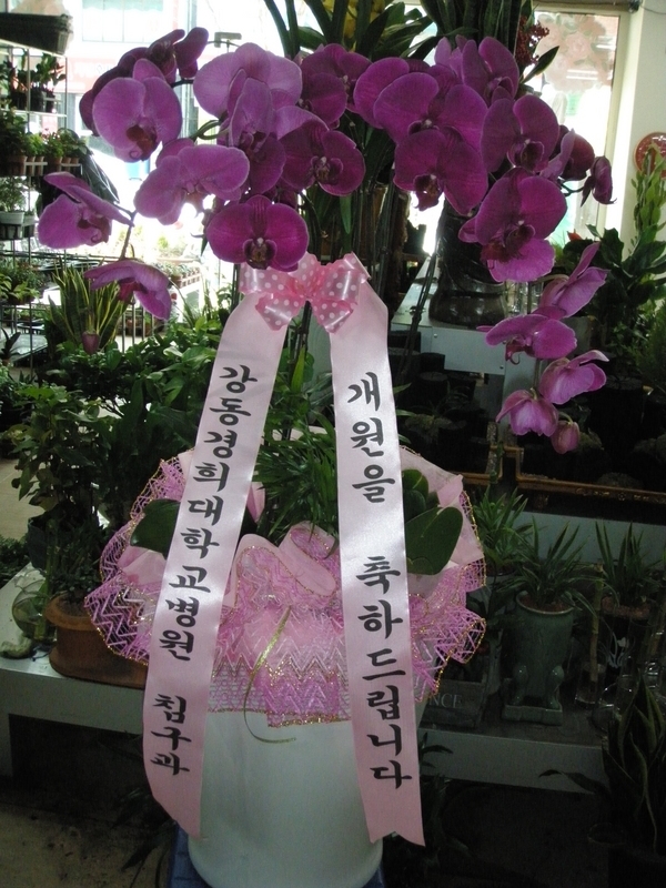 04-29
