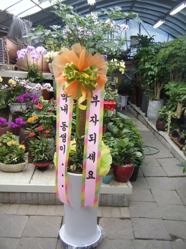 05-01