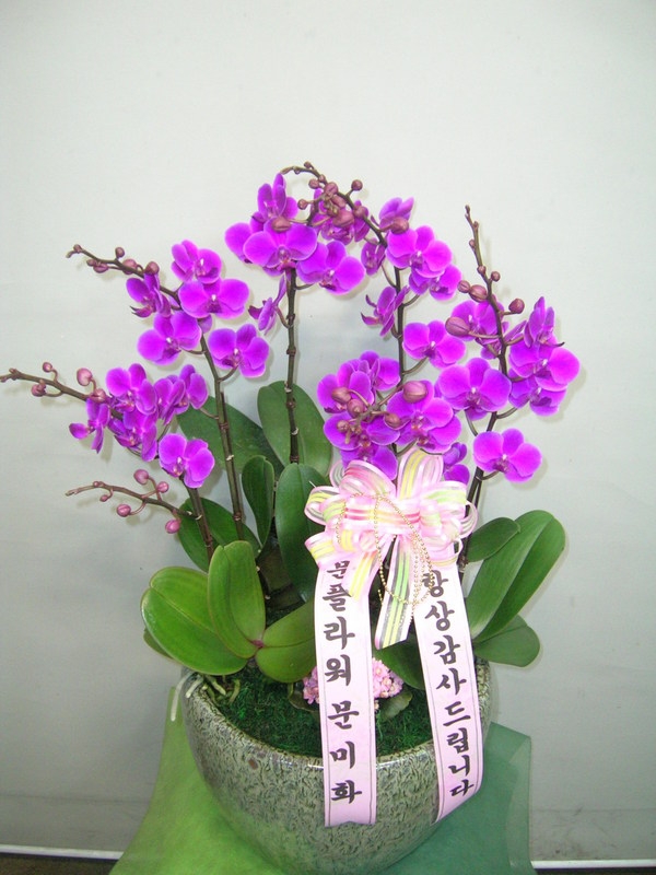 05-01