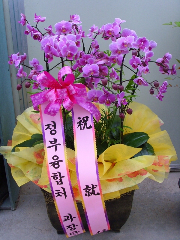 05-02