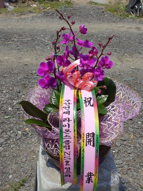 05-03