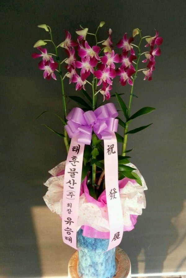 726(ݿ)