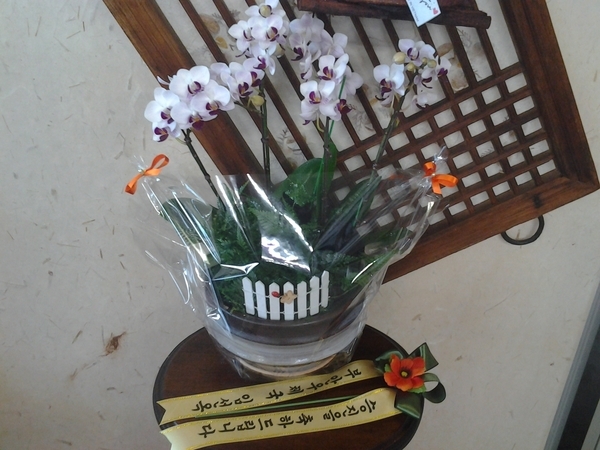 829(ݿ)