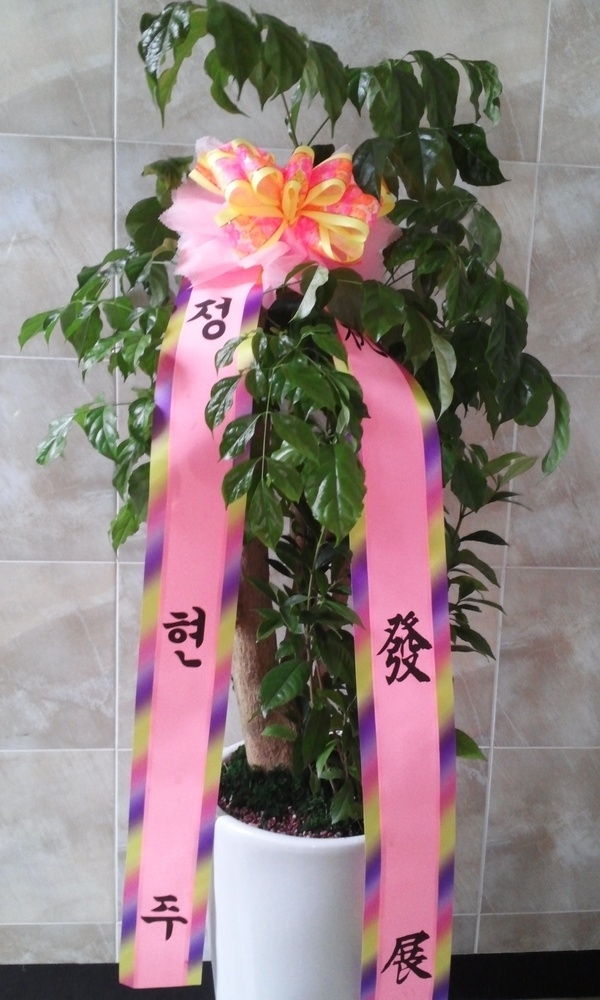 829(ݿ)