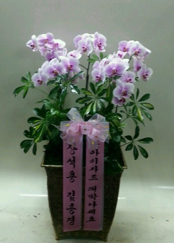 829(ݿ)