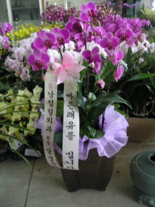 829(ݿ)