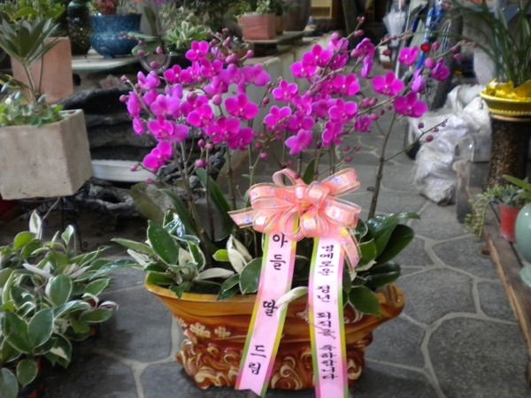 829(ݿ)