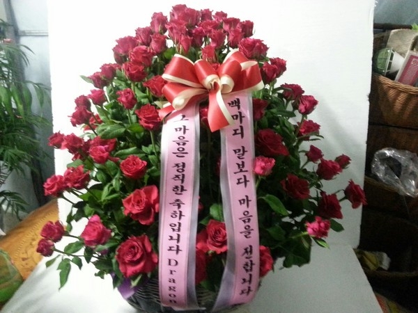 829(ݿ)