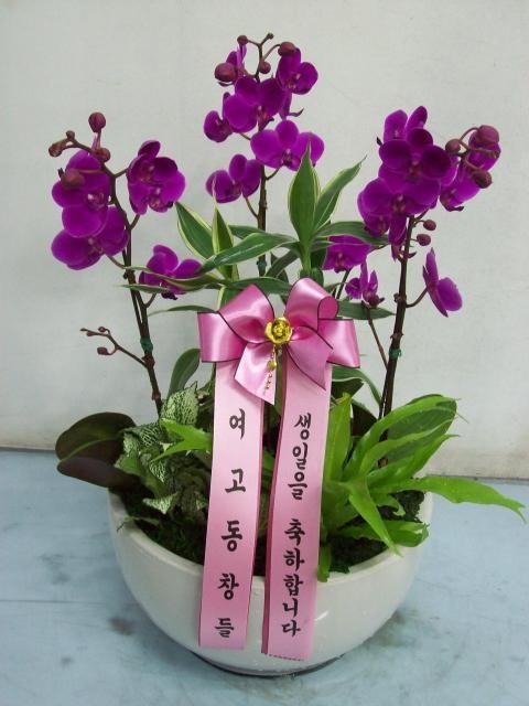 829(ݿ)