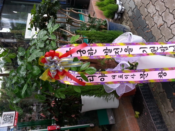 829(ݿ)