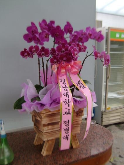829(ݿ)