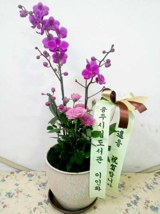 118(ݿ)