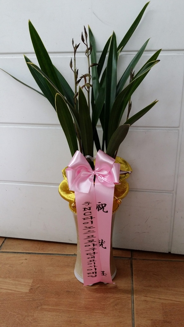 37(ݿ)