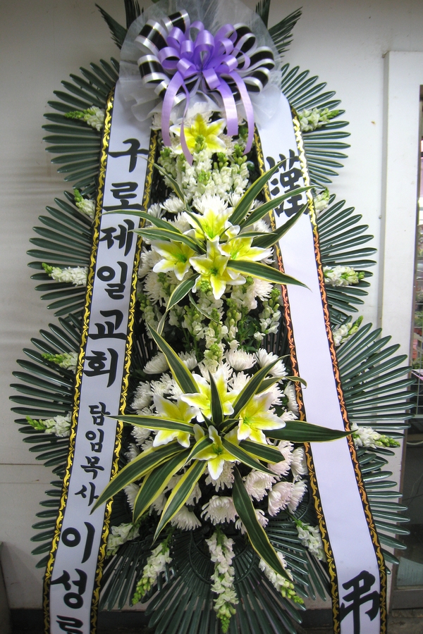 311(ȭ)