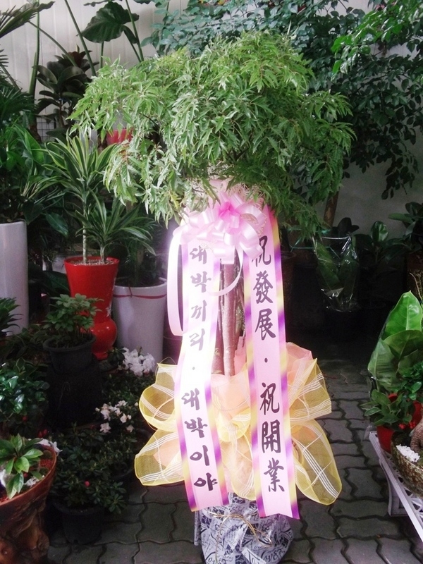 329(ݿ)