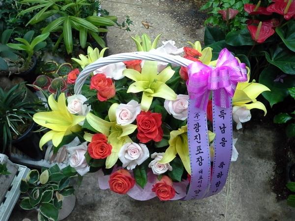 613(ݿ)