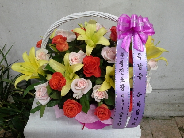613(ݿ)