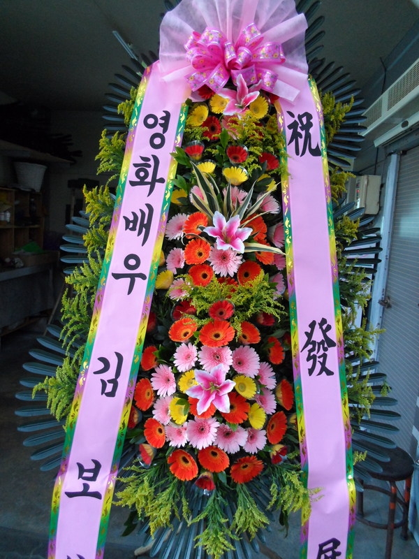 613(ݿ)