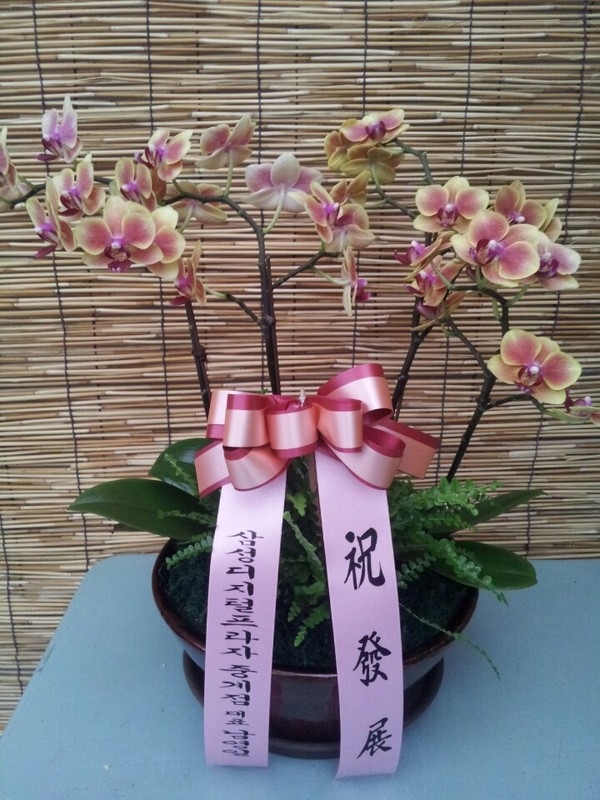 613(ݿ)