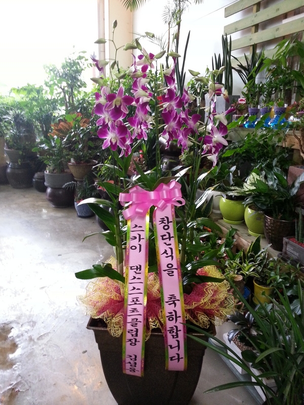 613(ݿ)