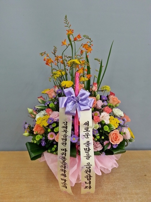 613(ݿ)