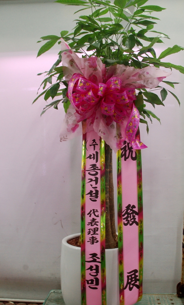 613(ݿ)