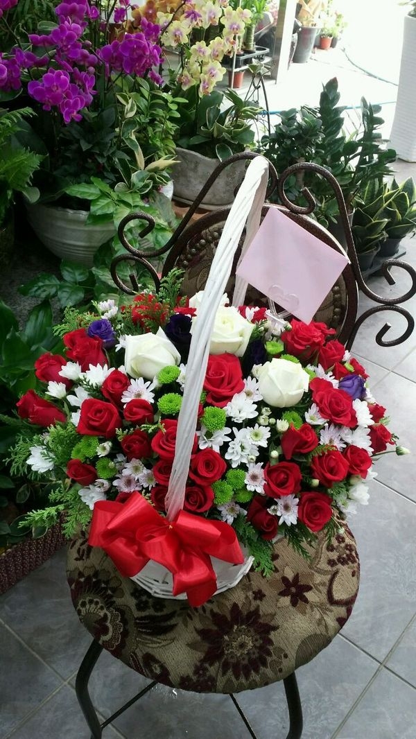 613(ݿ)