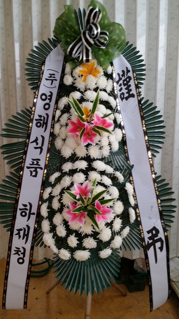 613(ݿ)
