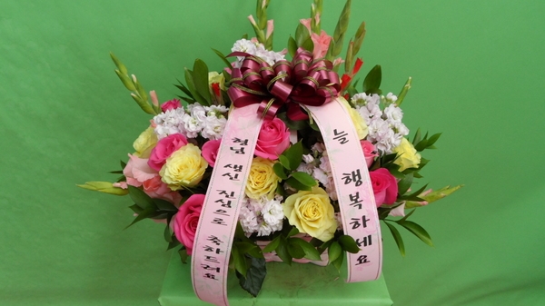 613(ݿ)