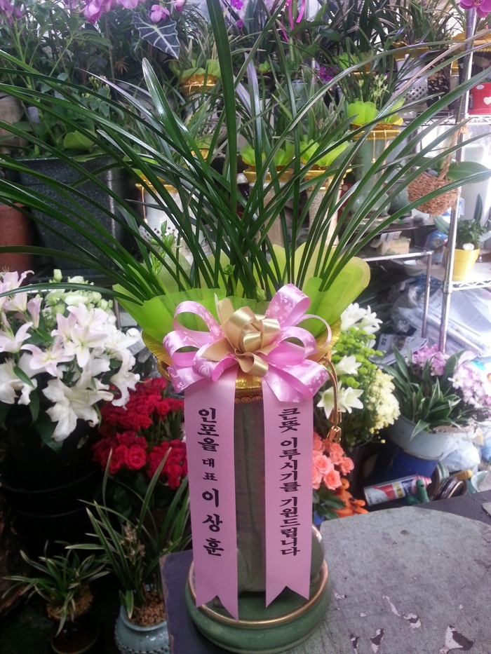 815(ݿ)