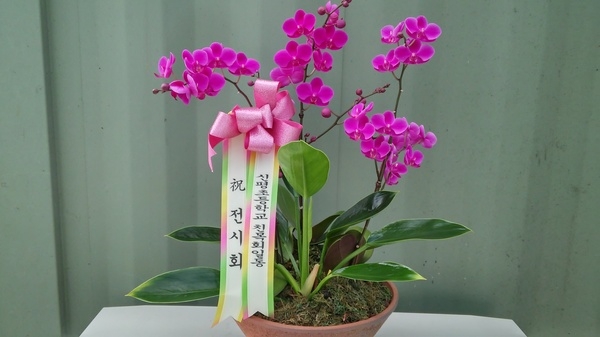 1010(ݿ)