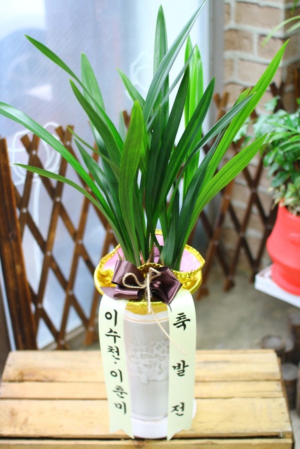 1031(ݿ)