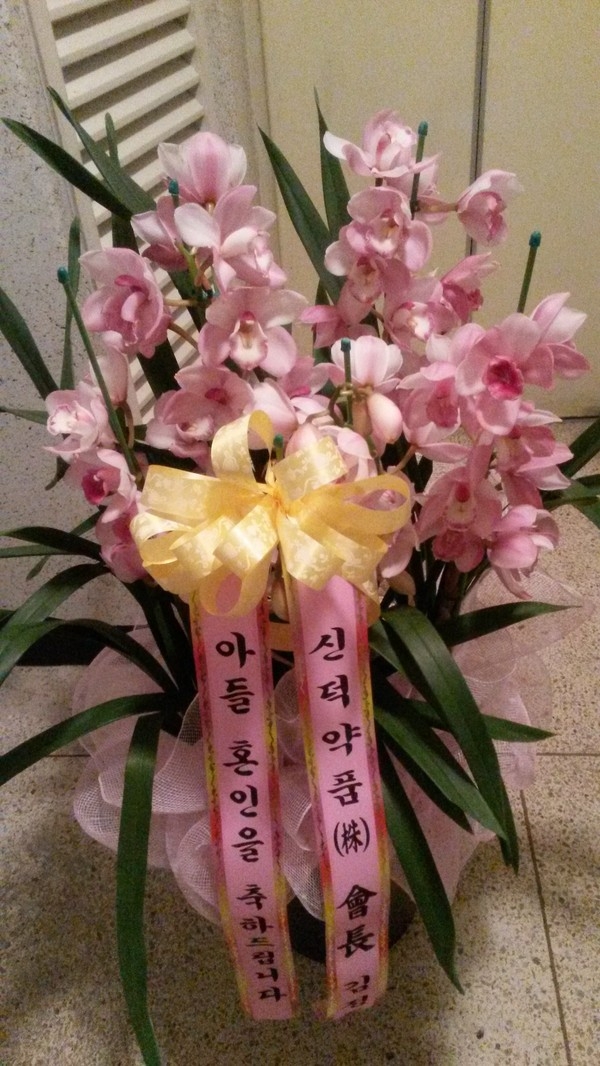1212(ݿ)