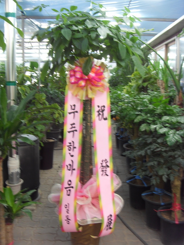 1212(ݿ)