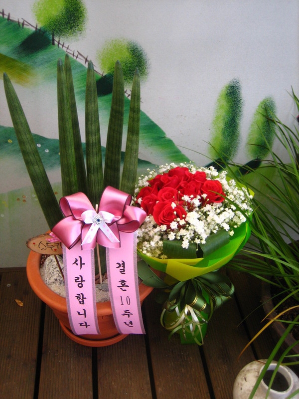 1212(ݿ)
