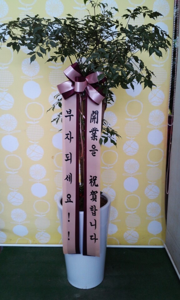 1212(ݿ)