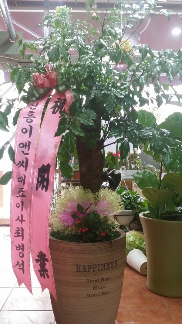 1212(ݿ)