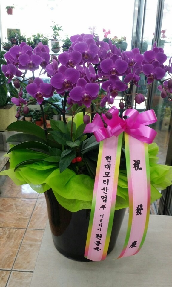 522(ݿ)