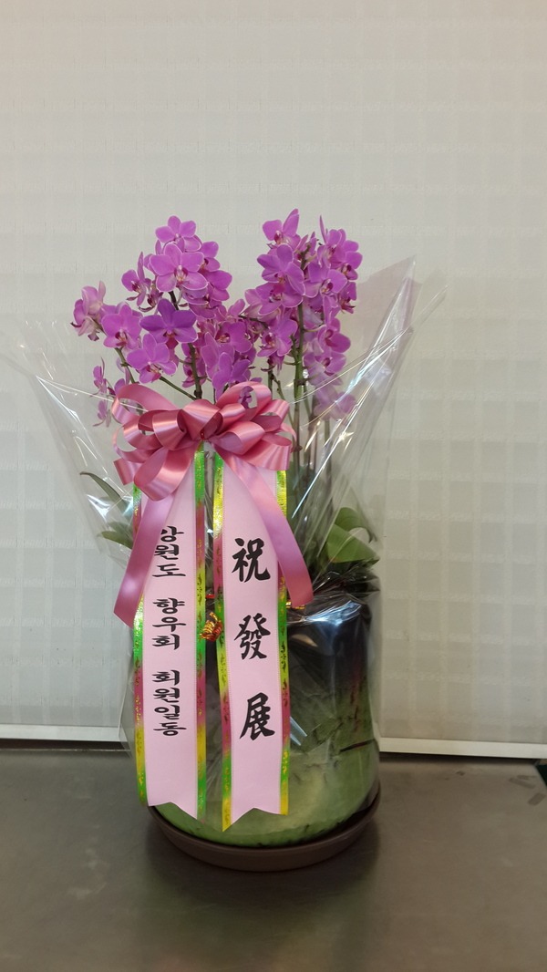 522(ݿ)