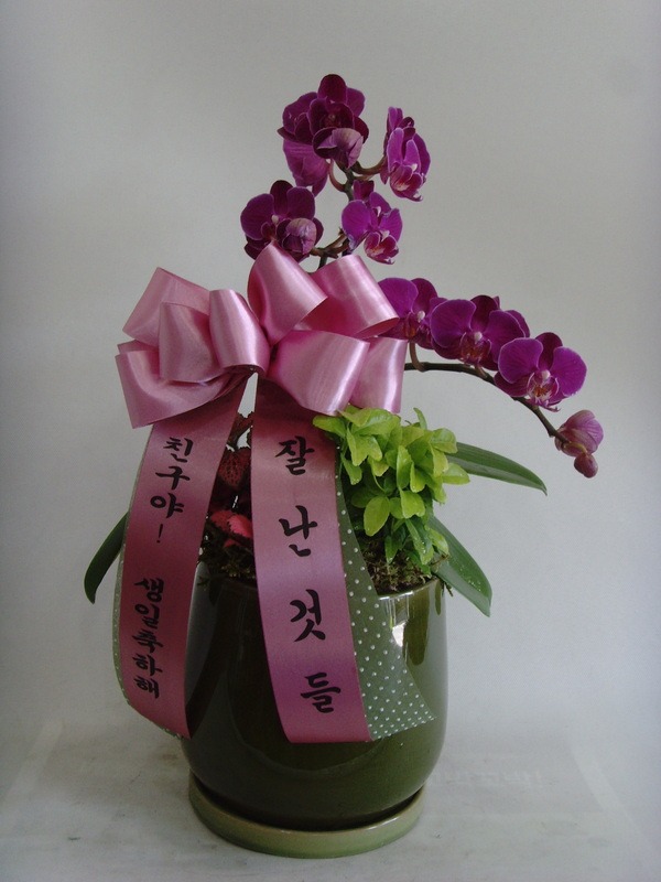 522(ݿ)